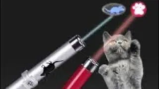 LAZERE ÇILDIRAN KEDİLER - LAZARE FRECKLED CATS 300 ABONE ÖZEL