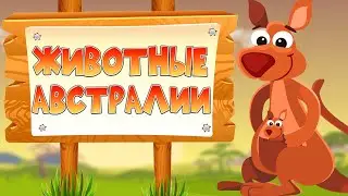 ЖИВОТНЫЕ АВСТРАЛИИ для ДЕТЕЙ! Развивающее видео.