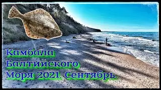FISHING FOR FLOUGH FROM THE SHORE IN THE BALTIC SEA. September 2021. Vlad TV.