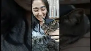 We Met The Most Relaxed Cat Ever!!!