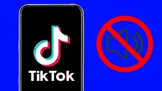 How to Open TikTok in Mute or Silent Mode