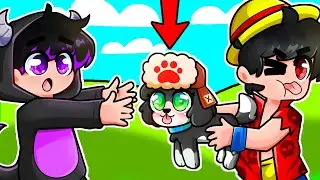 ¡ADIOS ALEXY! MI NUEVA MASCOTA 🐶❤️ ¿ADOPTO A UN NUEVO PERRITO?