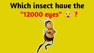 Interesting facts | Interesting Gk Questions | Interesting gk | RD Study | Lattest facts