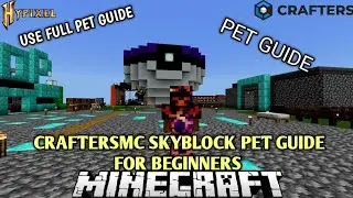 CRAFTERSMC SKYBLOCK USEFUL PET GUIDE FOR BEGINNER 