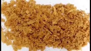 Black soldier fly eggs harvesting and hatching part 2