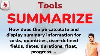 How to do Summarizing Projects in Primavera P6 | How does P6 summarize data in the Summary/Grouping