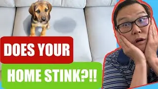 5 Home Selling Tips for Pet Owners - Professional Tips for Selling Your Home With Pets.