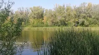 30 августа г. Самара река Самарка