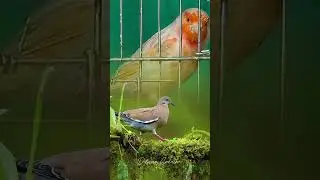 Всех приветствую друзья .🖖🤝