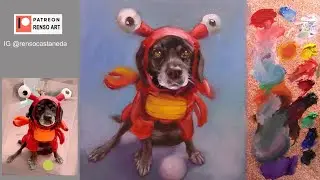 Live Session - Pet portrait / Dolly