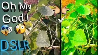 How to Convert normal Photos into DSLR, oh my god😲