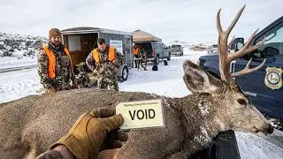 The 