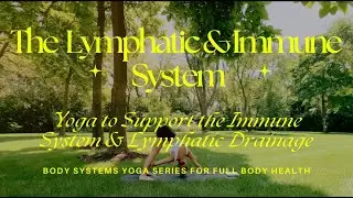 #5 LYMPHATIC & IMMUNE SYSTEM: Yoga to Support the Immune System & Lymphatic Drainage