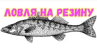 ЛОВЛЯ СУДАКА. БРАЛА ТОЛЬКО НА НЕЕ