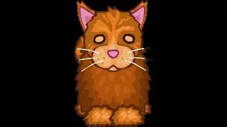 Cookie🐱🐱