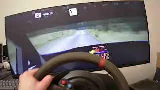 Richard Burns Rally driver's POV