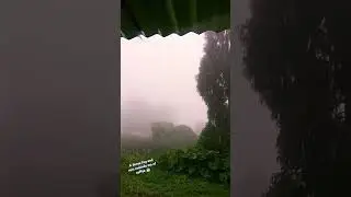 Dense fog and rain it's a perfect blender for the cup of coffee