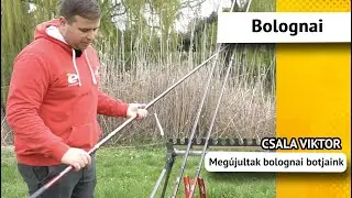 Megújultak bolognai botjaink - Csala Viktor
