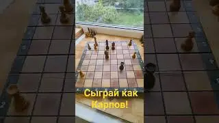 #шахматы #карпов
