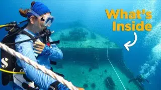 Inside a Shipwreck that sunk Twice... (Plus Crazy Shark)