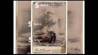 Miss Zaeo, la fata volante