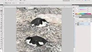 Photoshop Tricks - Content Aware Fill