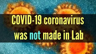 The COVID-19 coronavirus epidemic has a natural origin, scientists say