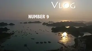 Sunsets and Puppies of Vietnam - Vlog 9