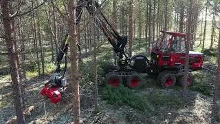 TERRI 3HW med Log Max 2000T - Flerträdshantering i klen gallring