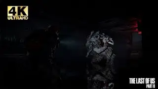 The Last of Us Part 2 - Boss Fight - PS4 Pro 4K
