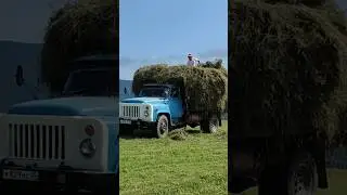 Уборка сена в горах Дагестана. Газ 53!!!