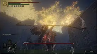 Elden Ring - NG+ Deathbird (Weeping Peninsula) No Damage | Grave Scythe (Sword Dance)