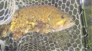 Yakima River Fly Fishing Report-May 31st, 2024-Worley Bugger Fly Co