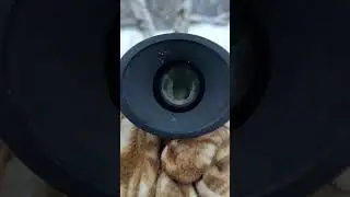 Видно ли фотоловушку в тепловизор RikaNV