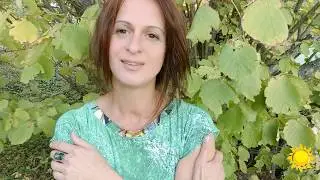 Боги  — Белая Раса   — Резус-отрицательная кровь