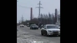 медведь в "Камской долине" в Перми