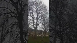 Eunice storm. Шторм в Великобритании. Последние новости.