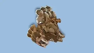 VULFPECK /// Newsbeat