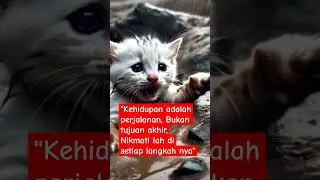 27 Agustus 2024