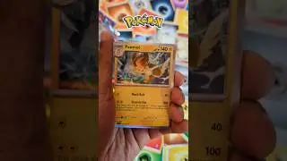 Pokemon Paldea Pack Opening