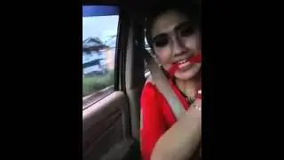 Revi mariska