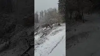 The First Snowfall: Love it or Hate it?