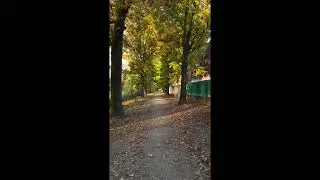 Осенний этюд