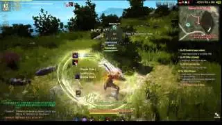 bdo 30fps 1600 x 900