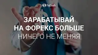 Как заработать на Форекс почти ничего не меняя