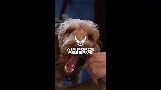 The U.S. Air Force’s Best Friend