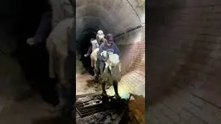 Watch as our team rescues two baby goats from an underground sewerage drain…🐐
