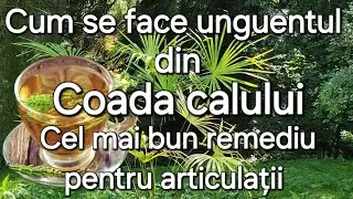 Coada calului - Cel mai puternic remediu pentru articulații /oase/osteoporoza/ligamente