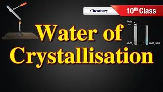 Water of crystallization and Plaster of Paris | Acid Bases and Salts | by Scientia Tutorials