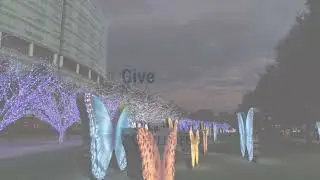 Please Give | Light up the Lawn